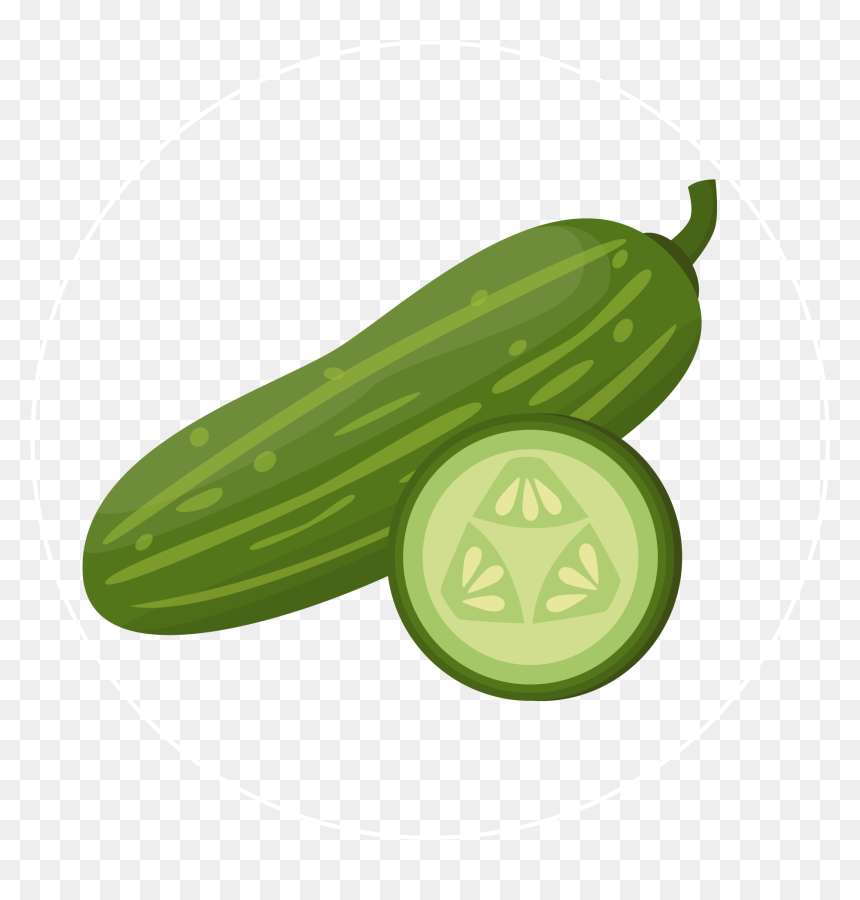 Cucumber-icon - Cucumber Icon, HD Png Download - cucumber png