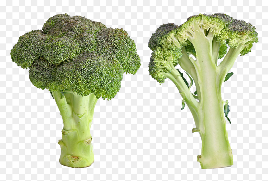 Green Broccoli Png Image - Broccoli Bad, Transparent Png - broccoli png