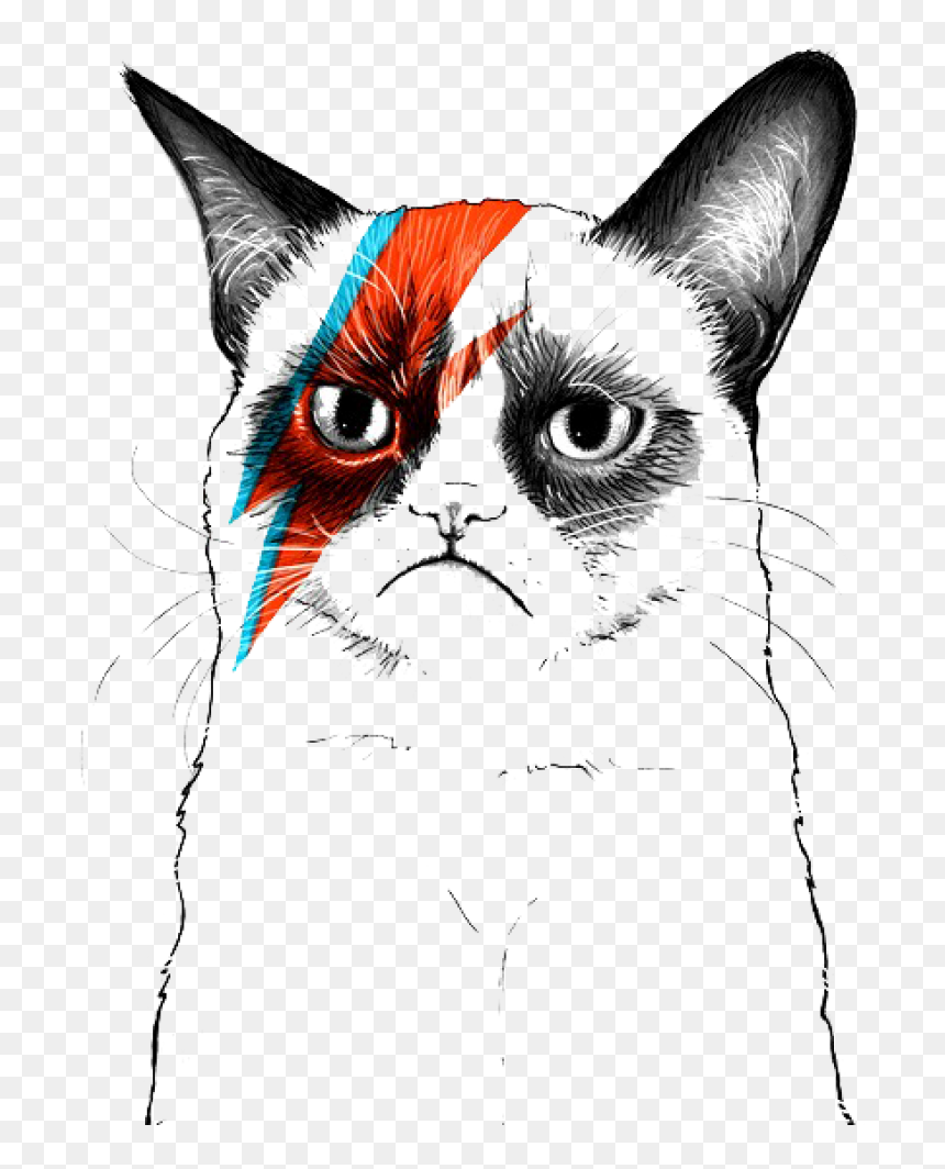 Grumpy Cat Musician Artist - Transparent Grumpy Cat, HD Png Download - grumpy cat png