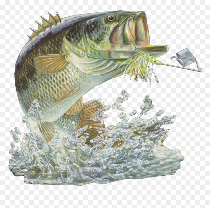 Bass Fishing Club, HD Png Download - fishing png