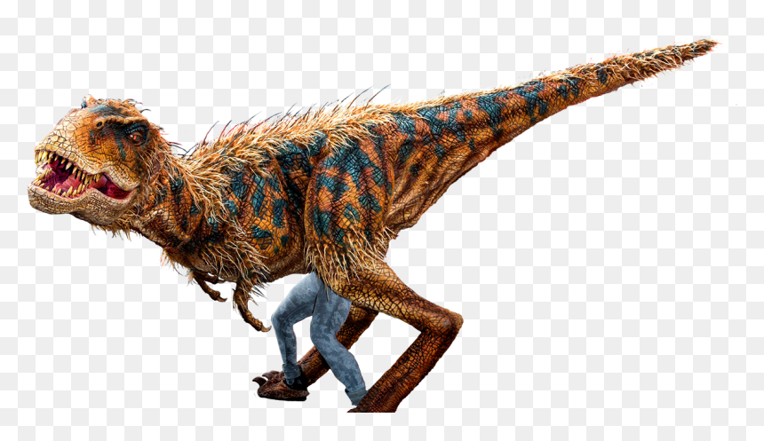 Image Download Kid S Parties Real Home - Real Dinosaurs With Feathers, HD Png Download - velociraptor png