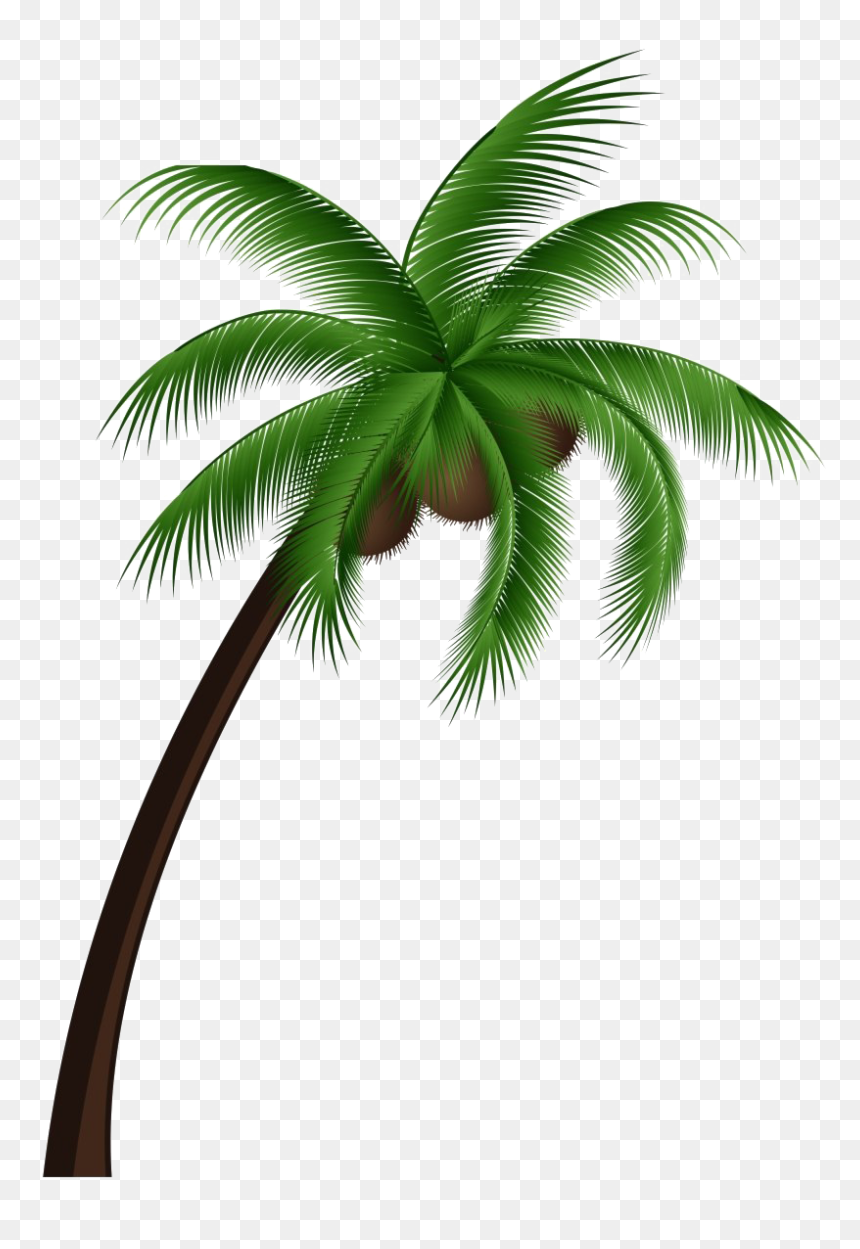 Tropical Png, Transparent Png - tropical png