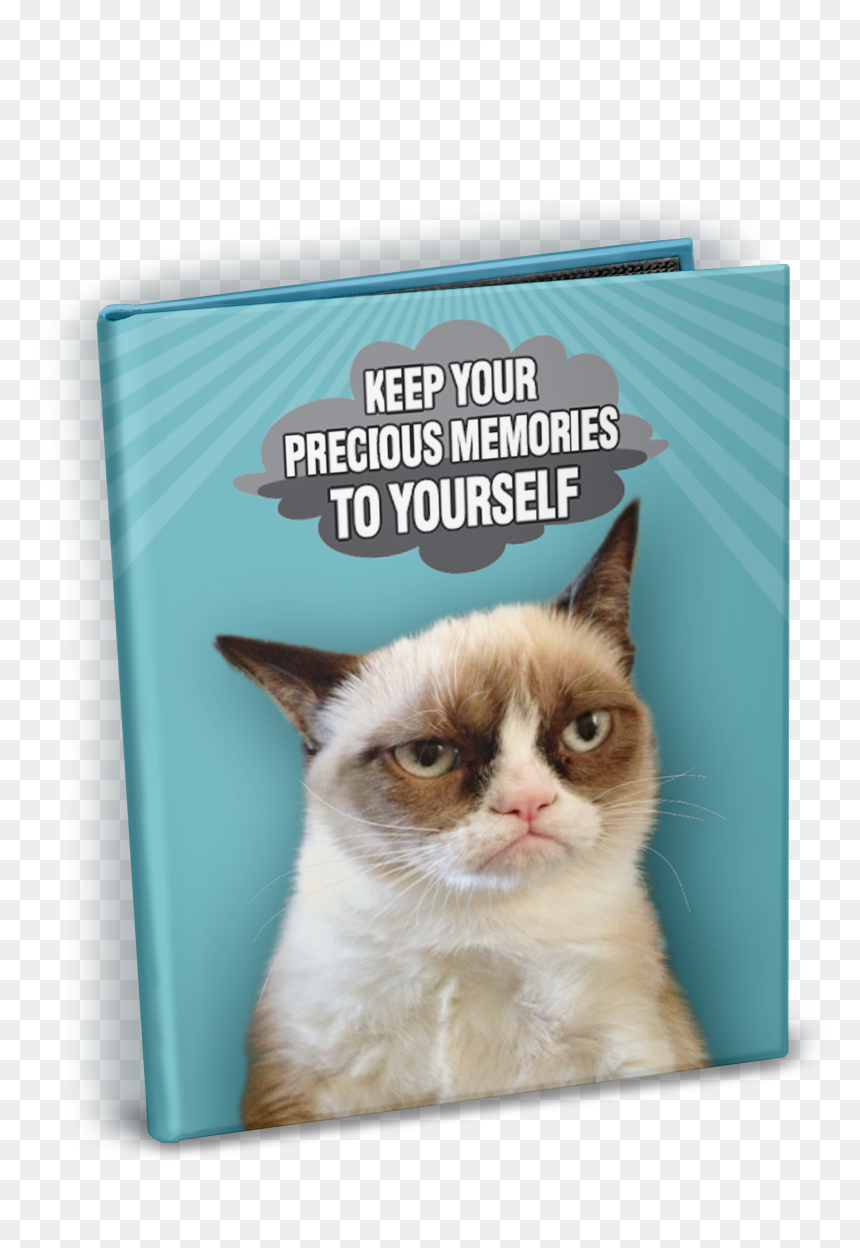 Thai, HD Png Download - grumpy cat png