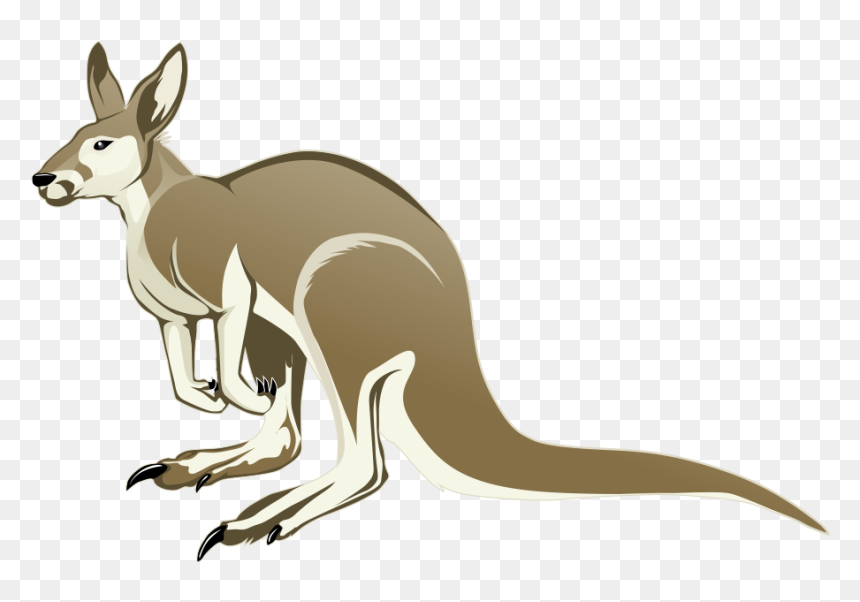 Transparent Kangaroo Clipart, HD Png Download - scary png