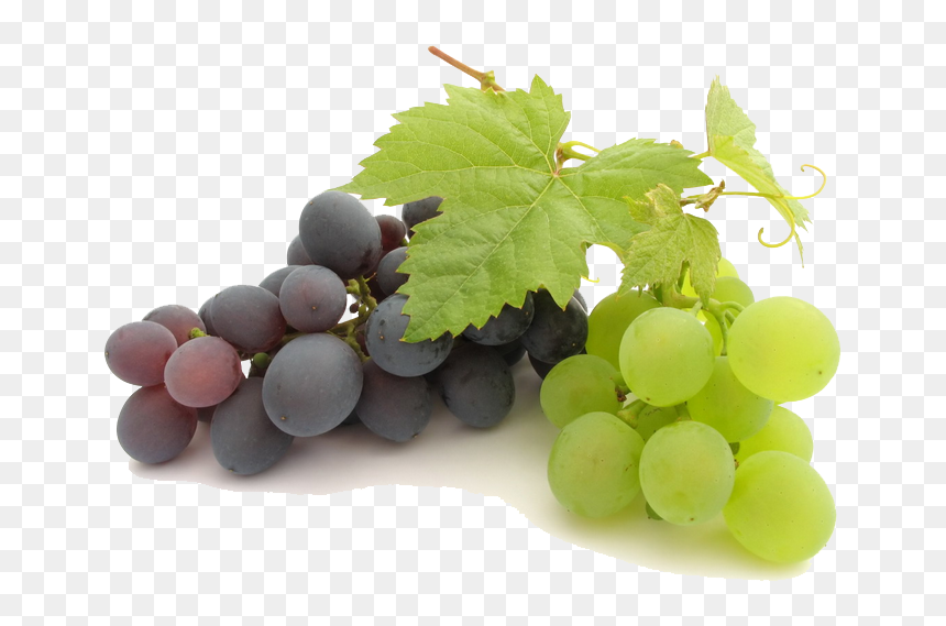 Grape Png File - Grapes Transparent Png, Png Download - grape png