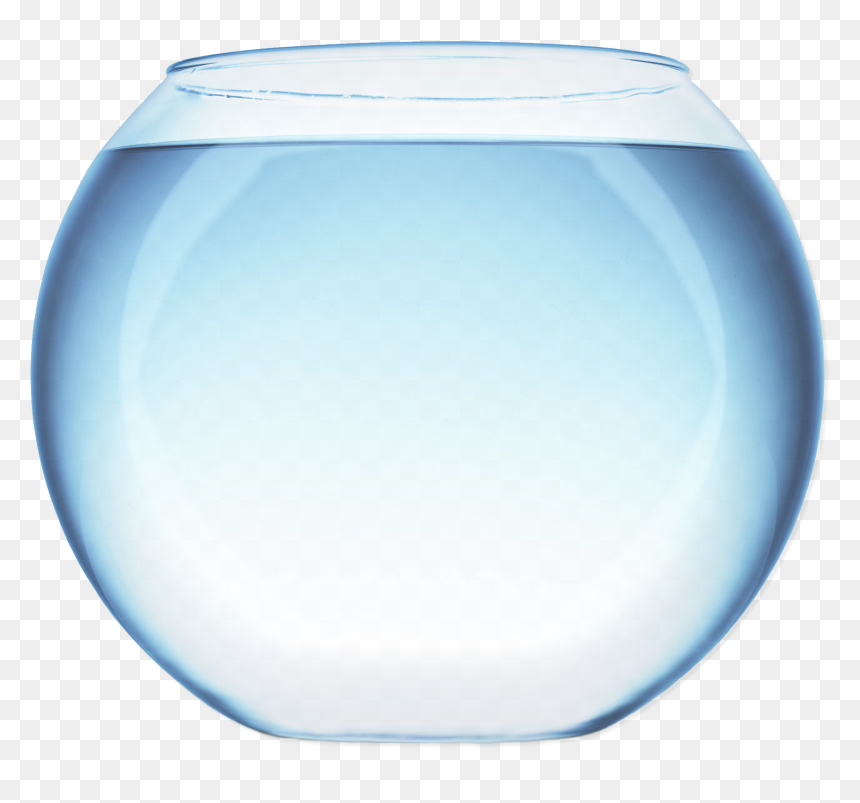Narahenpita Salud Elemental Fish Medicine Aquarium, HD Png Download - bowl png