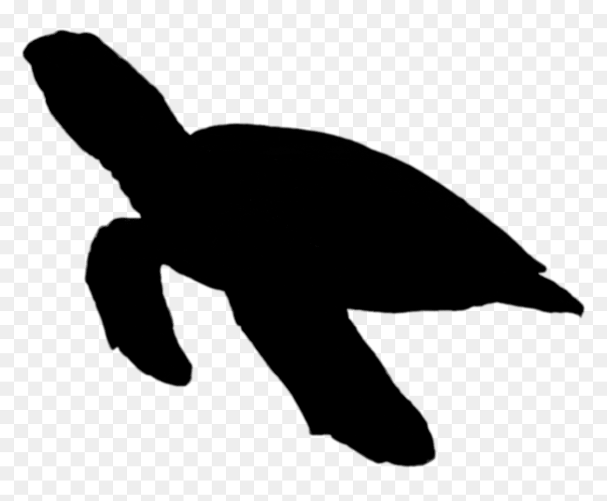 Seas Ilhouette Sea - Clipart Sea Turtle Silhouette, HD Png Download - sea turtle png