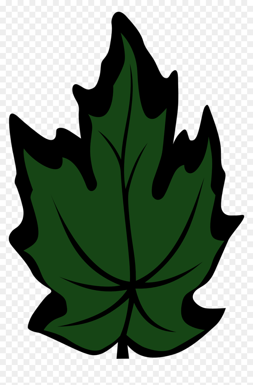 Clip Art, HD Png Download - maple leaf png