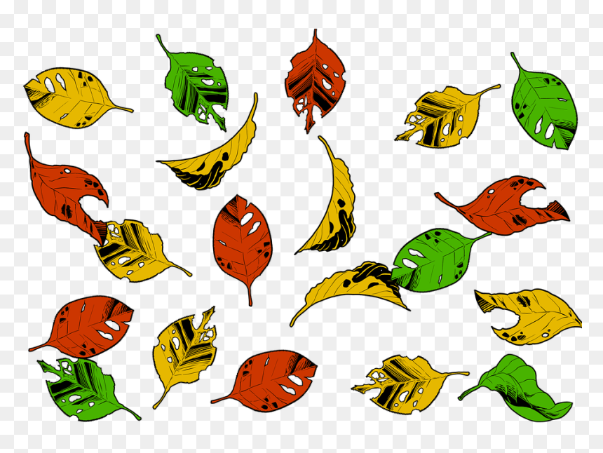 Autumn, HD Png Download - falling leaves png