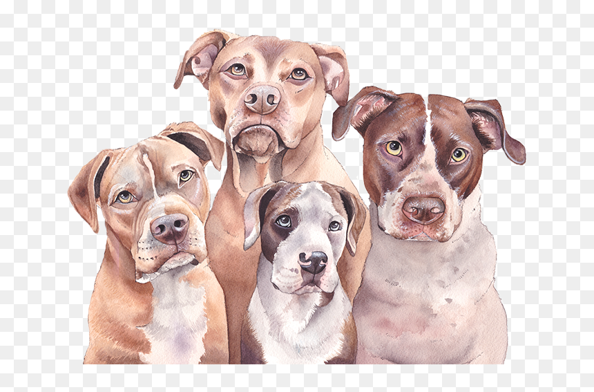 Quote3 - German Shorthaired Pointer, HD Png Download - pitbull png