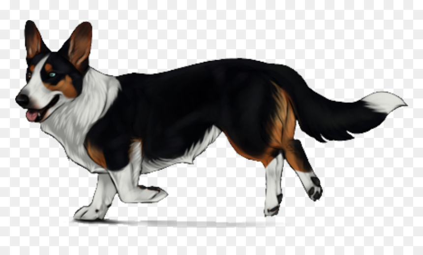 Cardigan Welsh Corgi - Cardigan Welsh Corgi Png, Transparent Png - corgi png