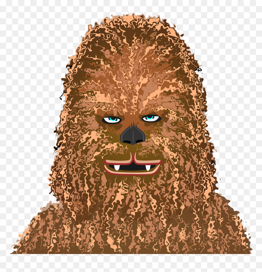 Jalpaan Dining Saga, HD Png Download - chewbacca png