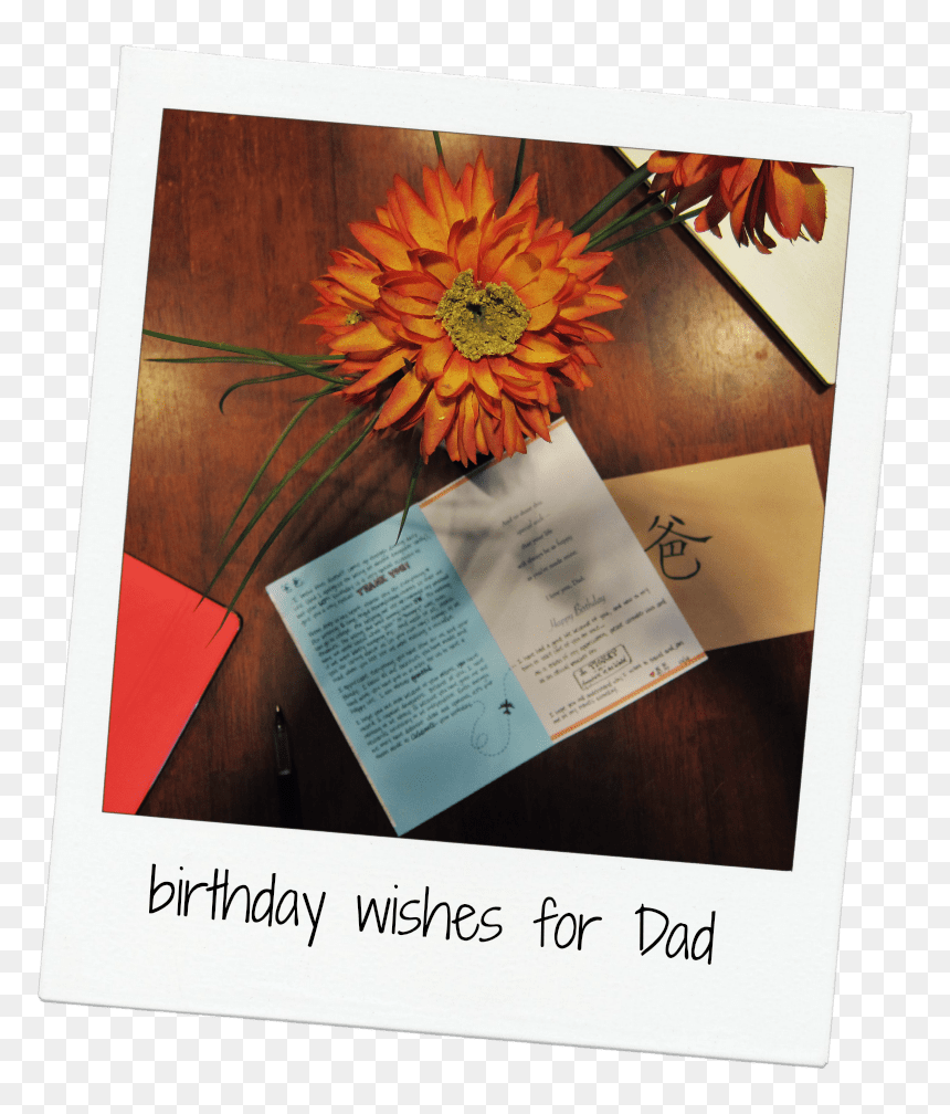 Gerbera, HD Png Download - birthday wishes png