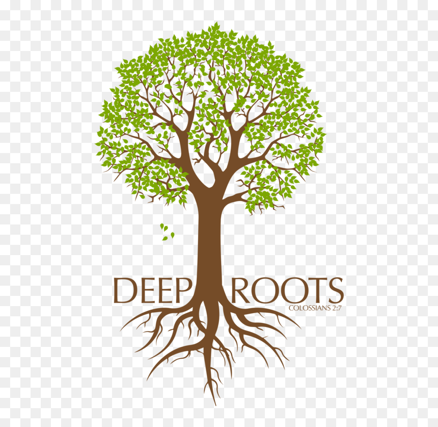 Going Deeper In 2019 Freedom In - Tree, HD Png Download - tree roots png