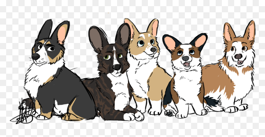 Drawn Corgi Transparent - Pembroke Welsh Corgi, HD Png Download - corgi png