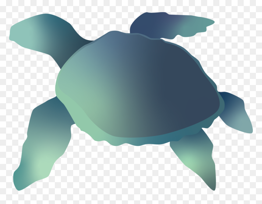 Green Sea Turtle, HD Png Download - sea turtle png