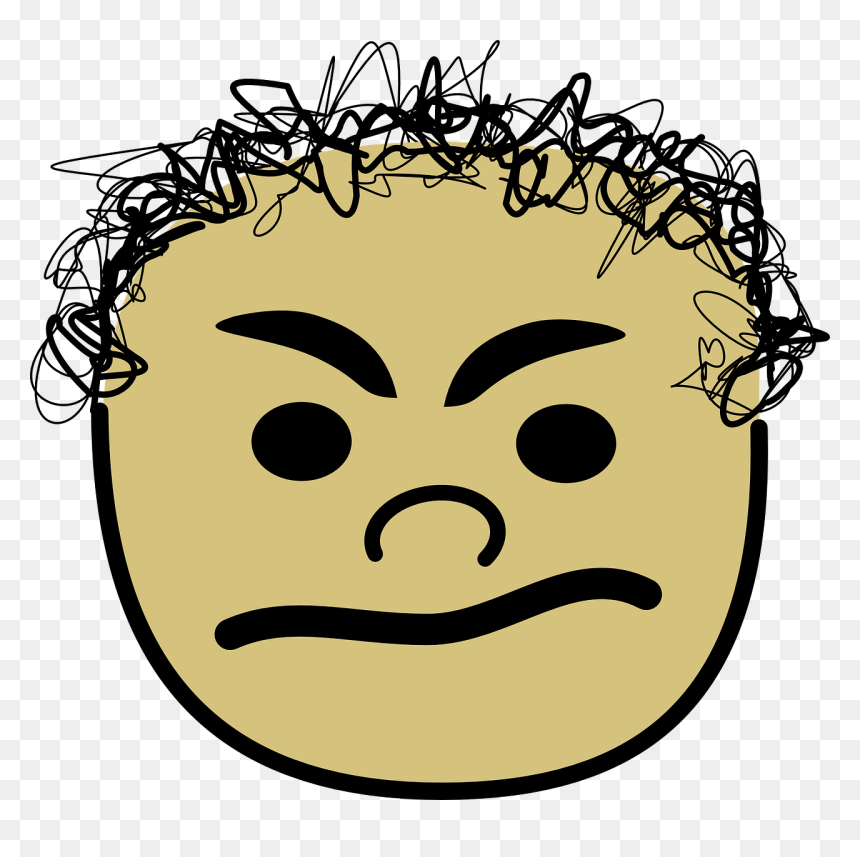 Angry Lion Face Cliparts, HD Png Download - angry face png