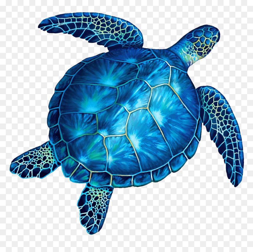 Sea Turtle Tile Mosaic, HD Png Download - sea turtle png