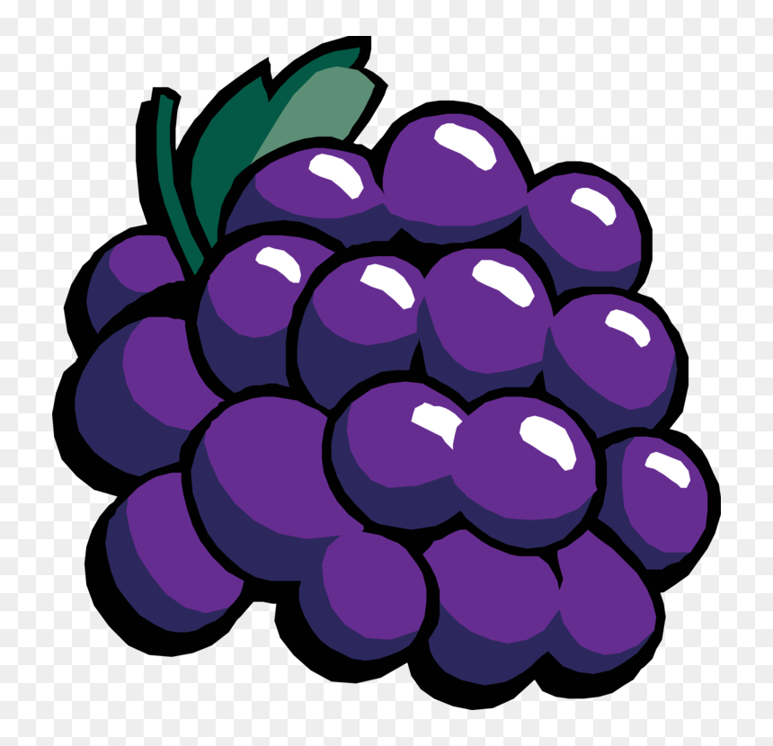 Plant,flower,grape - Grapes Clipart, HD Png Download - grape png