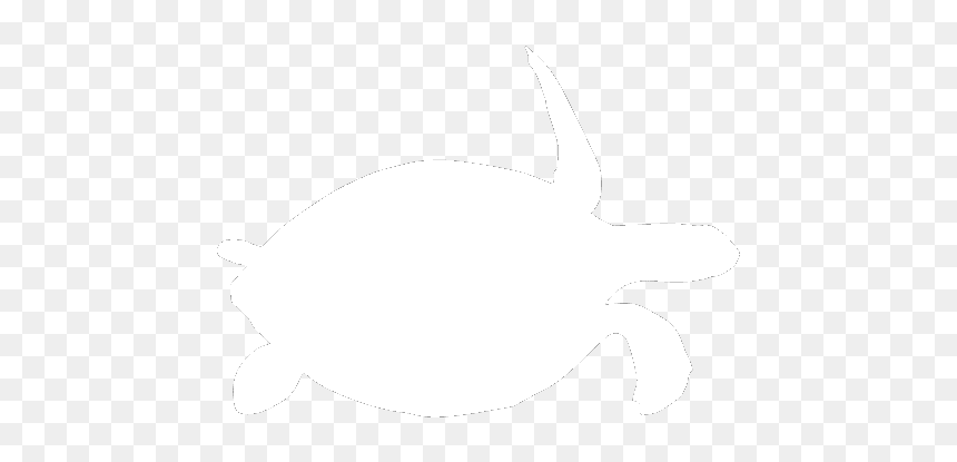 Kemp's Ridley Sea Turtle, HD Png Download - sea turtle png