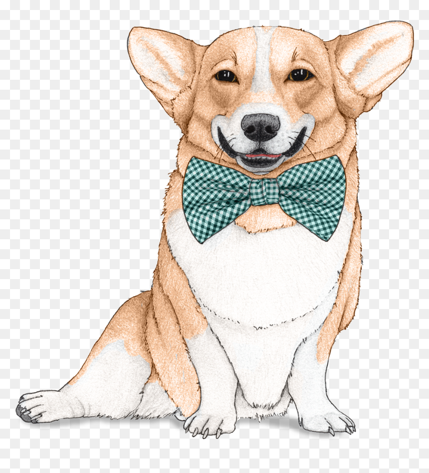 Dog Wallpaper For Walls - Stickers Perro, HD Png Download - corgi png