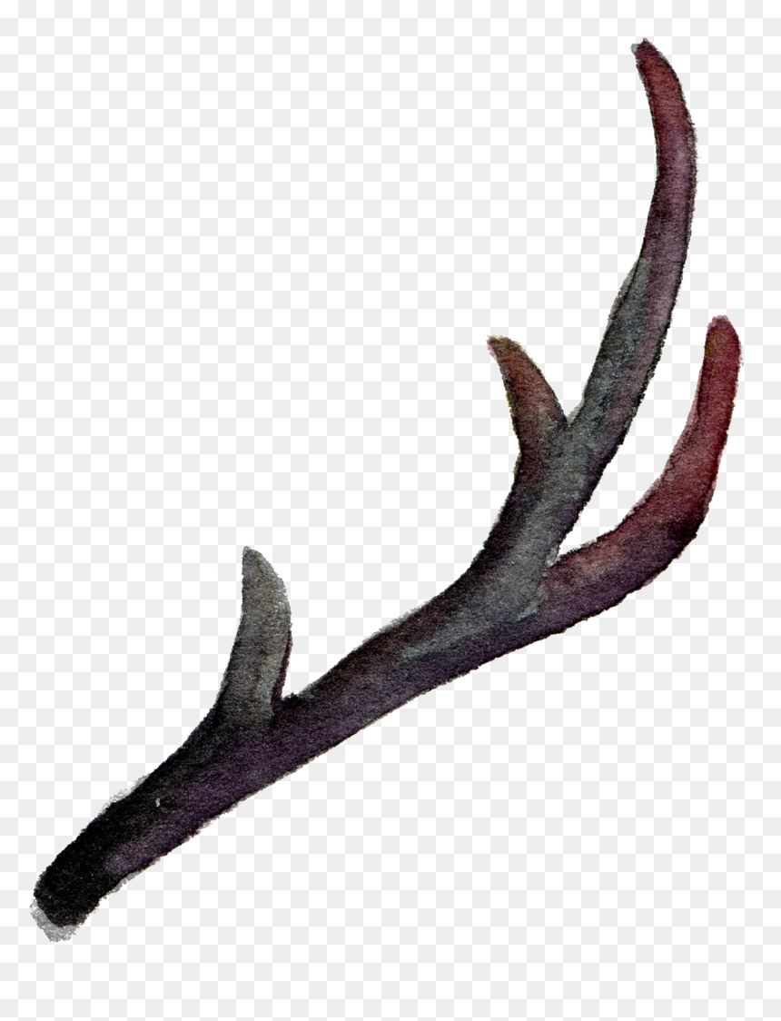 Clip Download Antler Horn Painting Leaves Falling Element, HD Png Download - reindeer antlers png