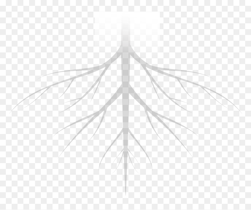 Plant, HD Png Download - tree roots png