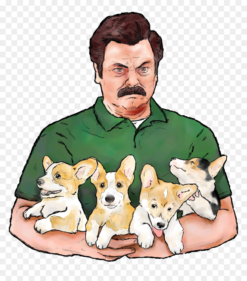 Ron Swanson & Corgi Puppies - Puppy, HD Png Download - corgi png