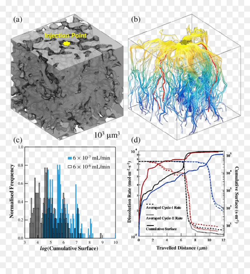 Nanotomography, HD Png Download - chalk png