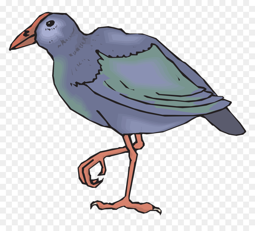 Takahe Clipart, HD Png Download - legs png