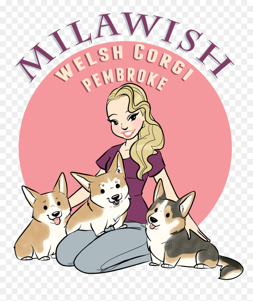 Pembroke Welsh Corgi, HD Png Download - corgi png