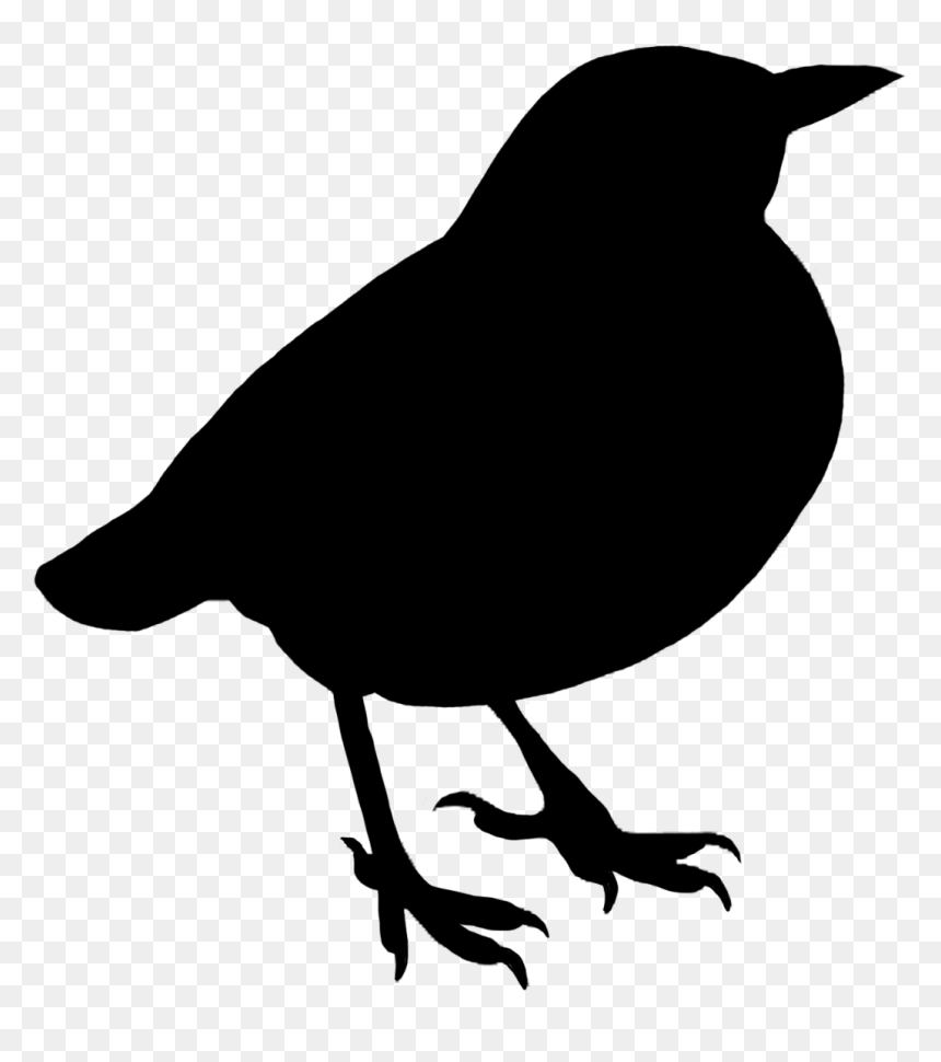 Thumb Image - White Bird Silhouette With No Background, HD Png Download - bird silhouette png