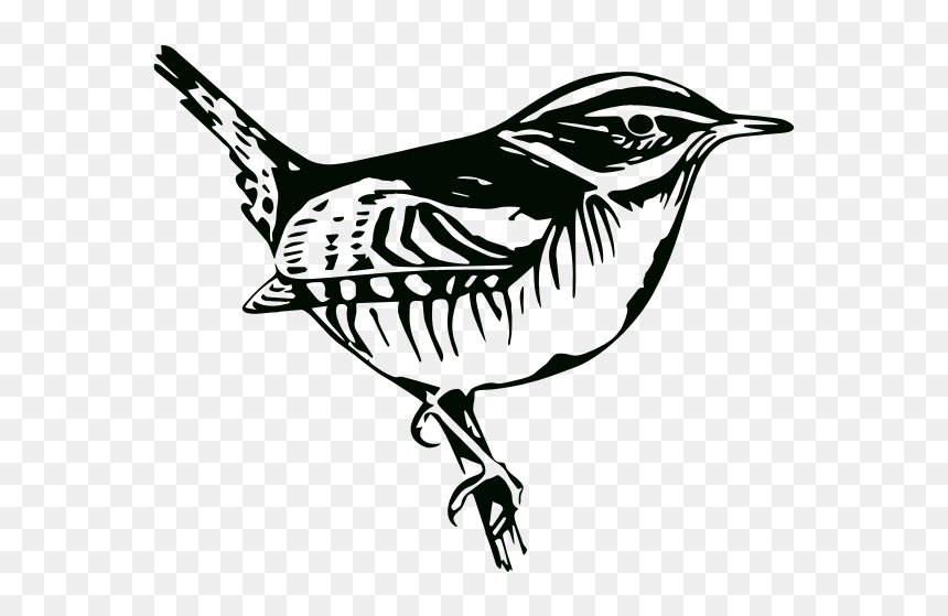 Perched Bird Silhouette - Birds, HD Png Download - bird silhouette png
