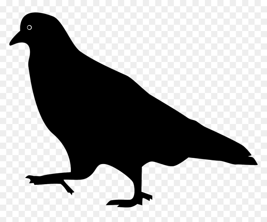 Bird, Pigeon, Silhouette, Stepping, Walking - Pigeon Silhouette Free, HD Png Download - bird silhouette png
