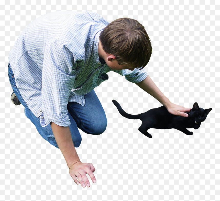 Cat - People And Cat Png, Transparent Png - cats png