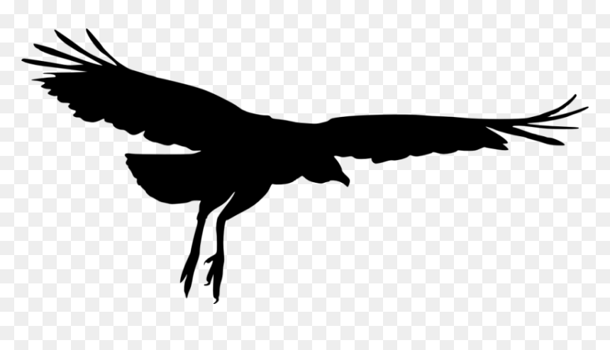 Bird Silhouette Png - Bird Silhouette Transparent, Png Download - bird silhouette png