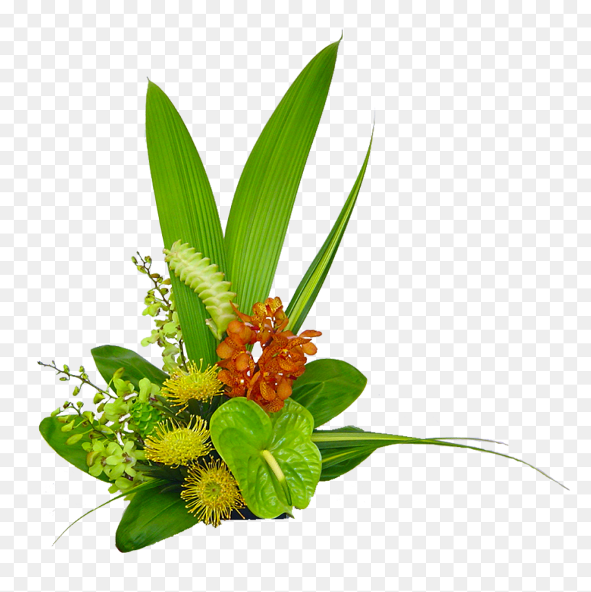 Transparent Hawaiian Flowers Png - Tropical Leaf Arrangement Png, Png Download - hawaiian flowers png