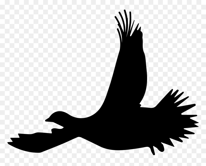Grouse Bird Flying Silhouette - Flying Grouse Silhouette, HD Png Download - bird silhouette png