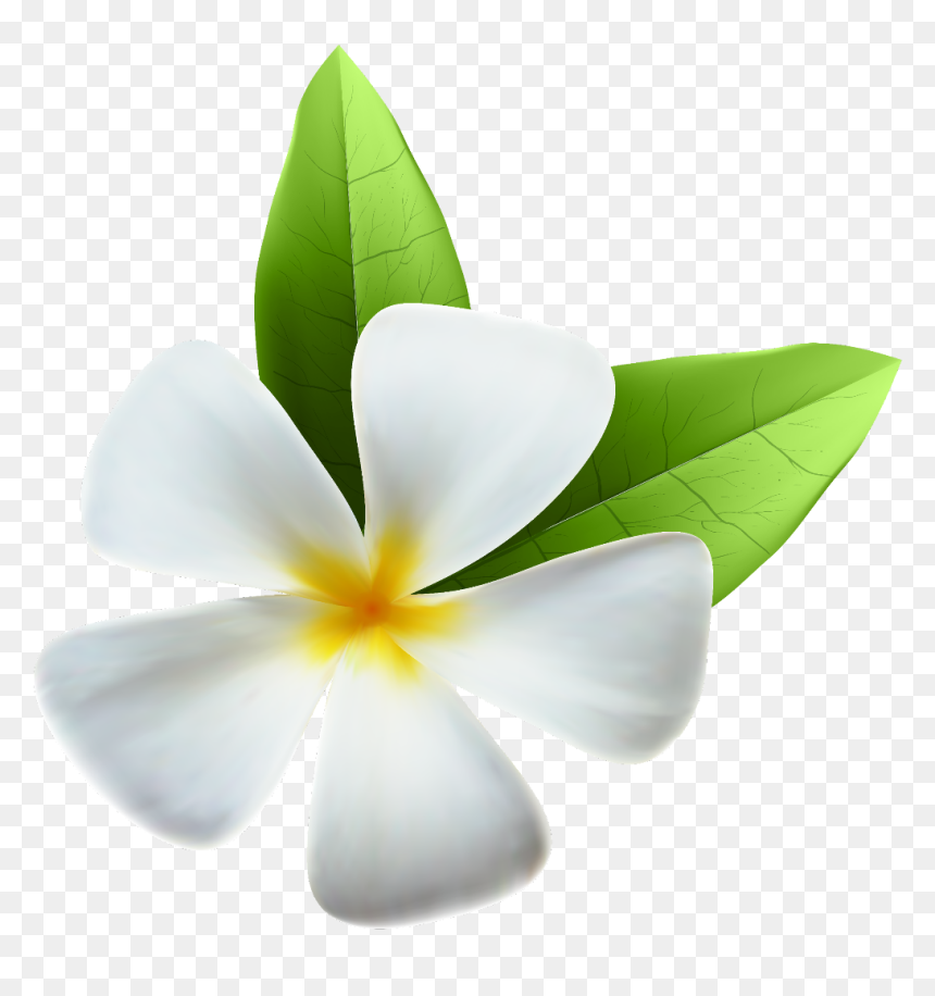 Transparent Tropical Clipart - Clip Art, HD Png Download - hawaiian flowers png