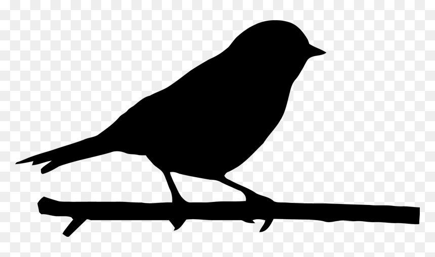 Silhouette Birds Png Download - Silhouette Birds, Transparent Png - bird silhouette png