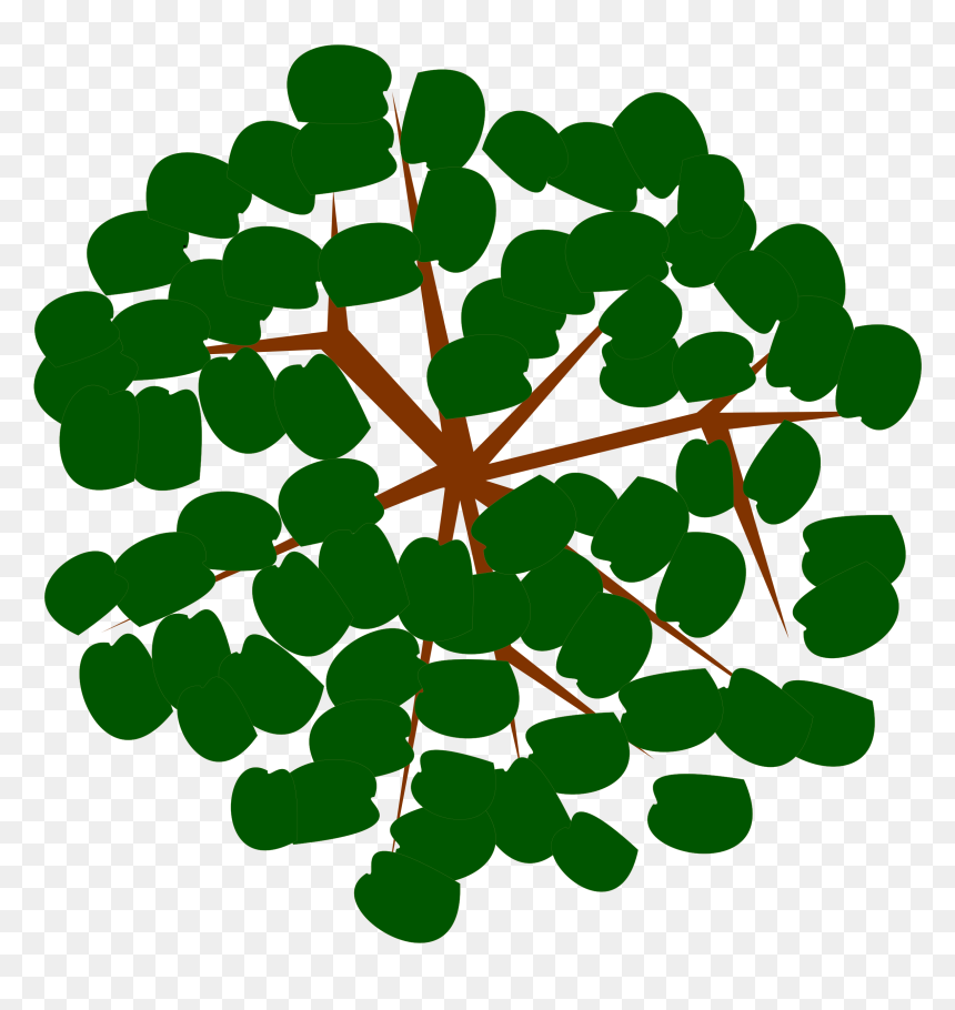 Tree-12f Clip Arts, HD Png Download - tree top png