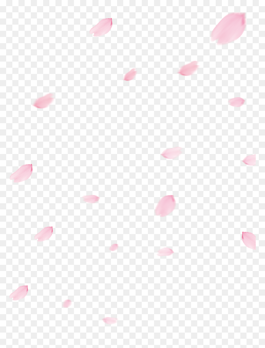 Picture Transparent Library Cherry Blossom Flower - Polka Dot, HD Png Download - cherry blossom petals png