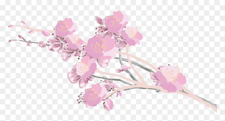 Transparent Cherry Blossom Petals Png - Cherry Blossom Aesthetic Transparent, Png Download - cherry blossom petals png