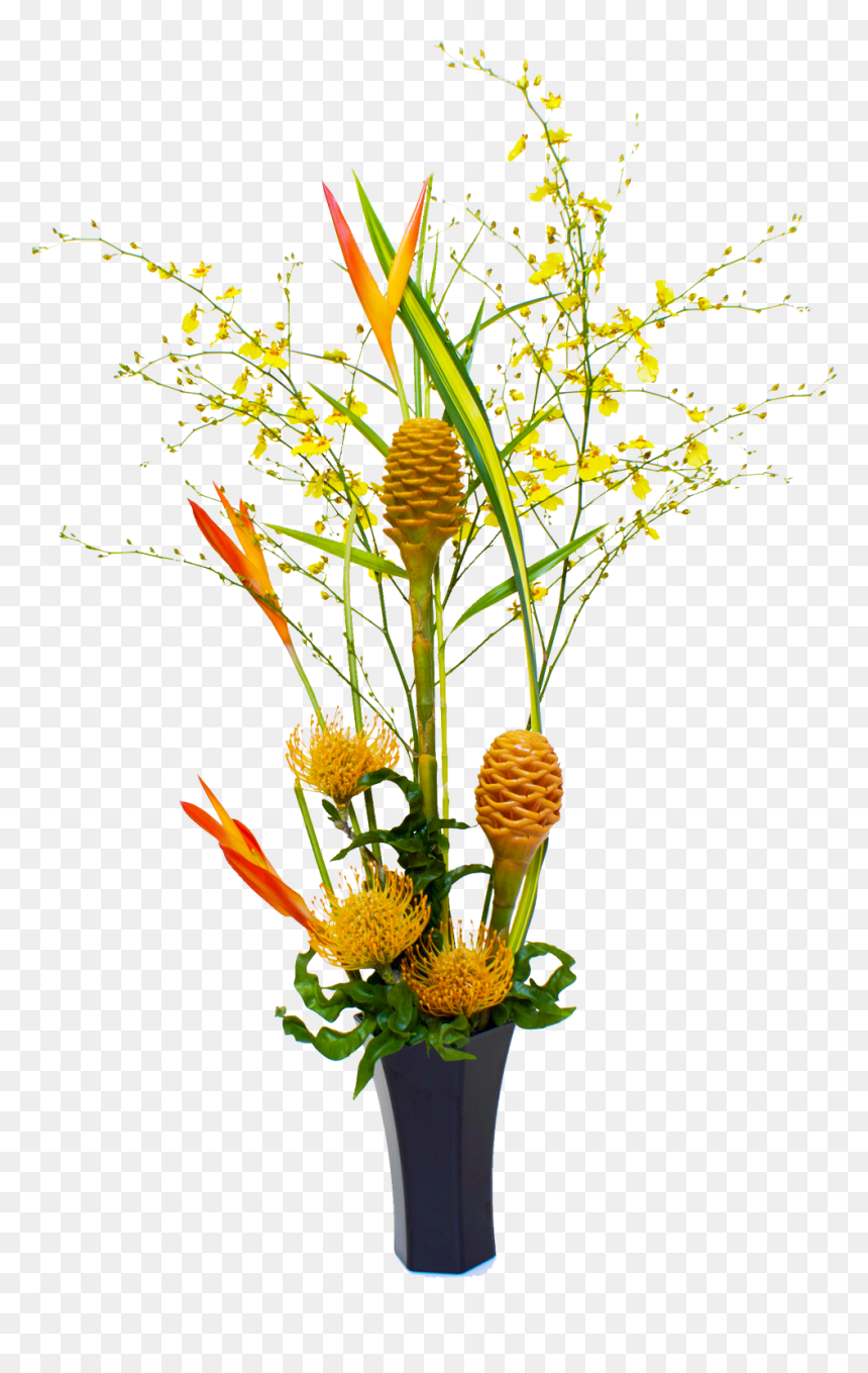 Hawaiian Patch Of Sun Light Tropical Hawaiian Flowers - White Wall Mounted Hollywood Mirror, HD Png Download - hawaiian flowers png