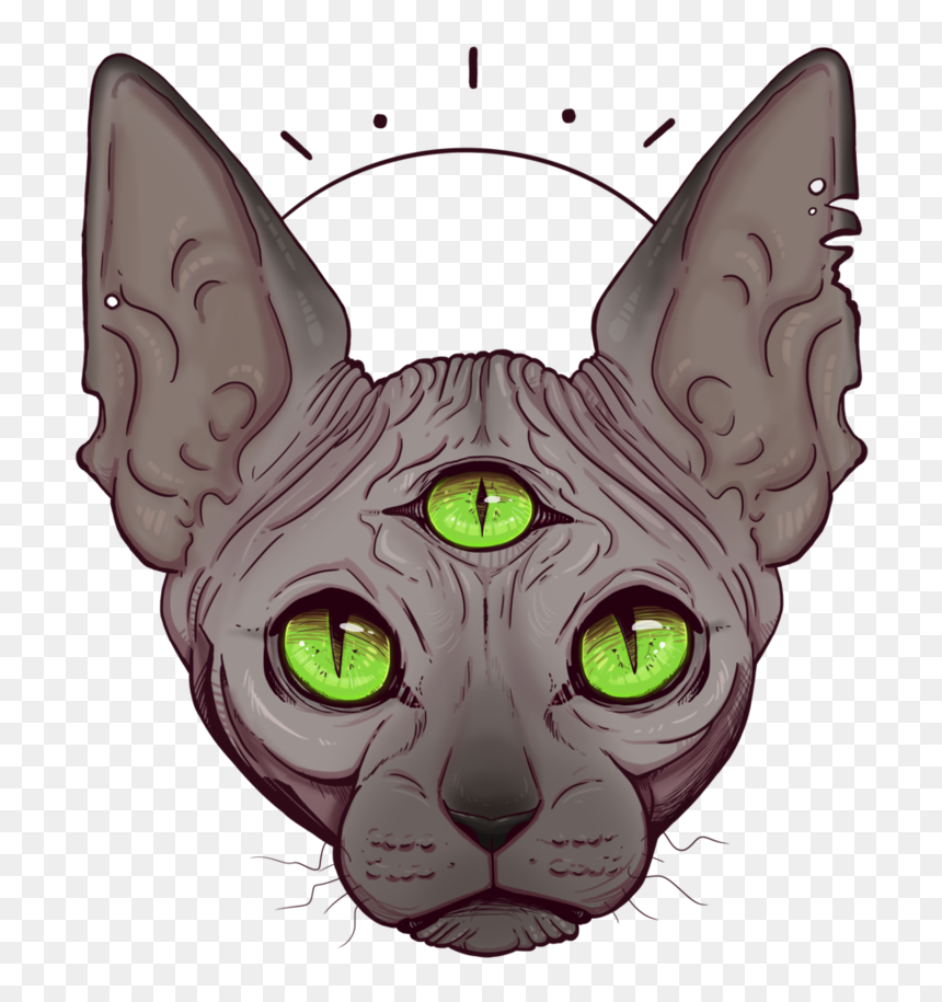 Whiskers Korat Sphynx Cat Kitten Domestic Short-haired - All Seeing Eye Cat, HD Png Download - all seeing eye png