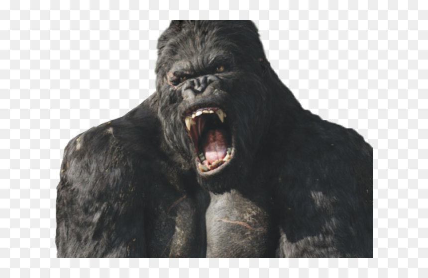 Hong Kong Clipart Gorilla Head - King Kong No Background, HD Png Download - king kong png