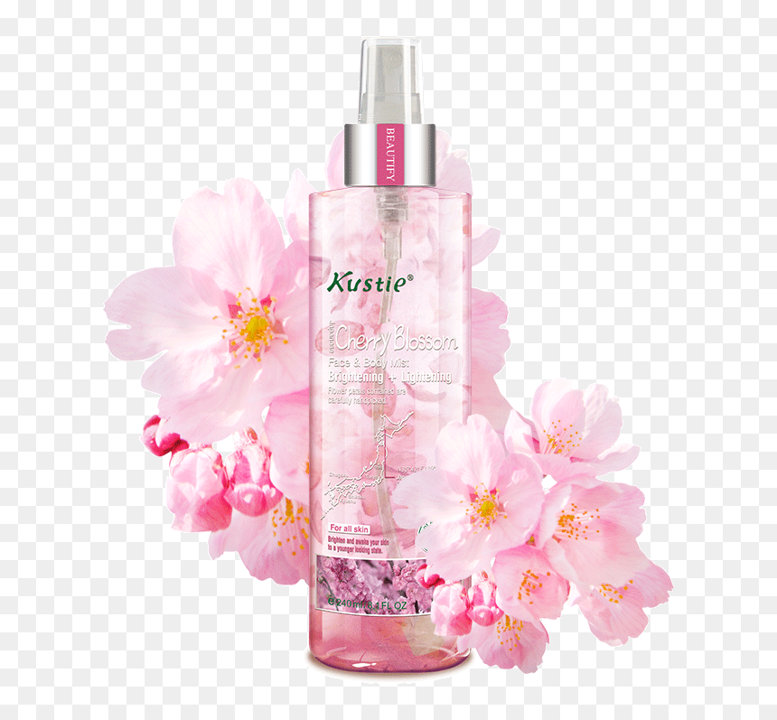 Cherry Blossom, HD Png Download - cherry blossom petals png