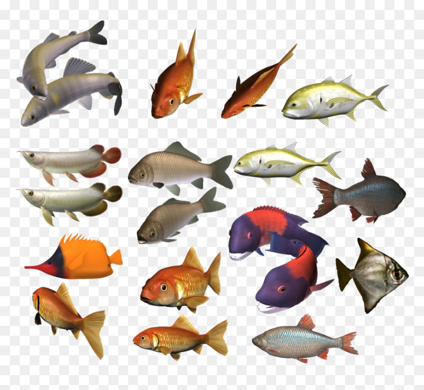 School Of Fish Png Image - Colour Fish Png Image Hd, Transparent Png - school of fish png