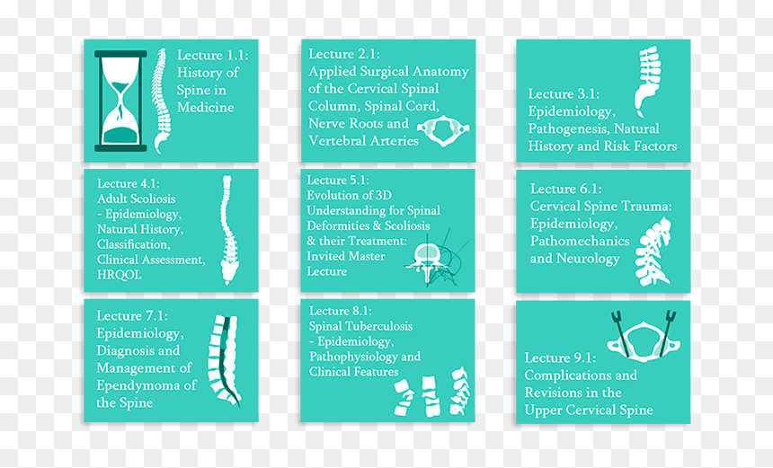 Spine Surgery Diploma Cover Image - Brochure, HD Png Download - spine png