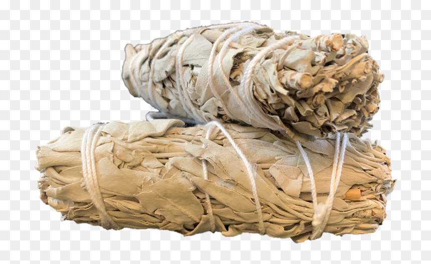 White Sage 4in, HD Png Download - desert png